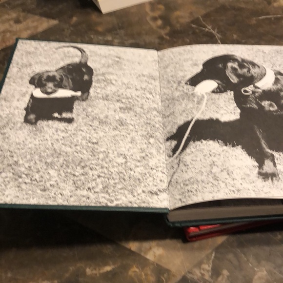 A pair of Dog Training Books by Richard A. Wolters - Picture 6 of 6